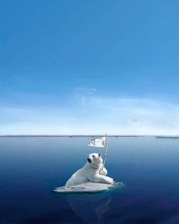 dreamlike-animal-portraits-enchanting-photo-manipulations-by-andreas-haggkvist-7.jpg