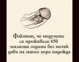 image.jpeg.2e223001988e360495fa986b64fc1019.jpeg