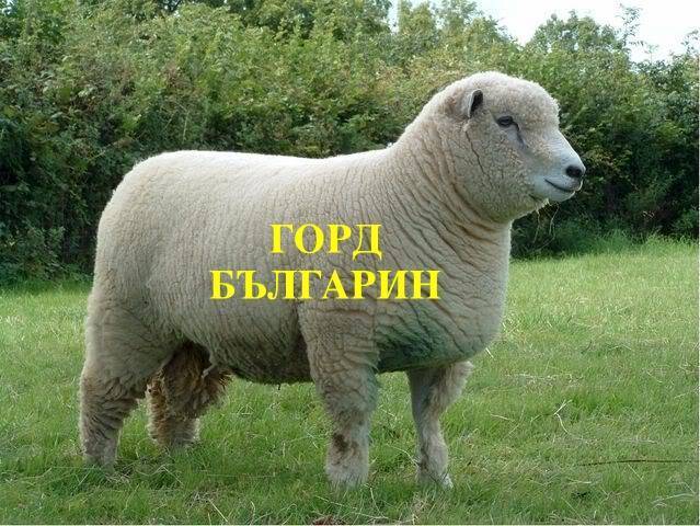12313922_10203781992470543_9193442888623278951_n.jpg.f274015b5ccb1bffc166dc51aae00958.jpg