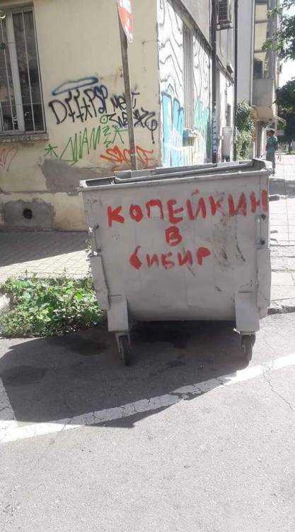 62.jpg