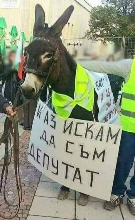 91.jpg