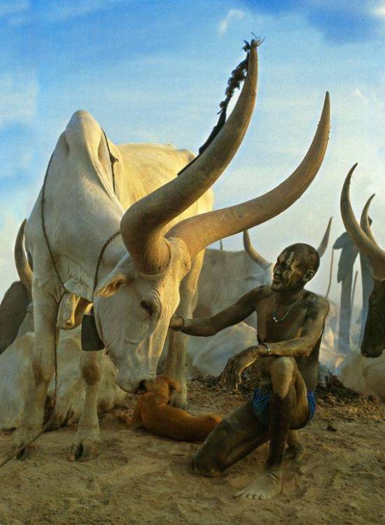 Dinka tribesman (Sudan).jpg