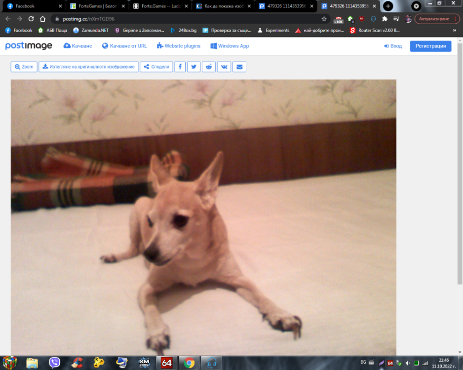 Screenshot_104.png