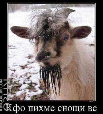 Screenshot_2022-07-30-19-00-52-856.jpeg