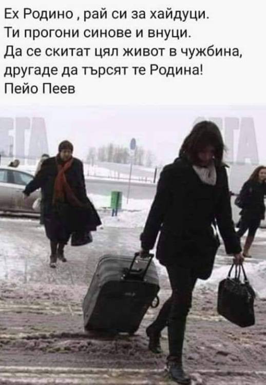 haiduci.jpg