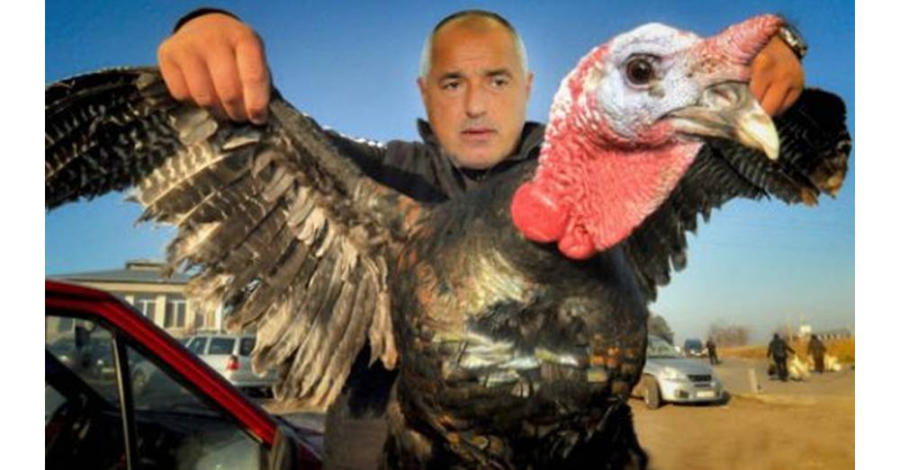 Бойко-Мисирки.jpg