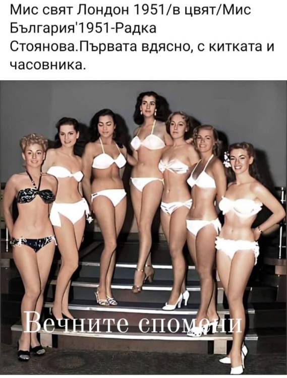 image.thumb.jpeg.cf3f027026d5c3ee91b9a9ee3712312c.jpeg