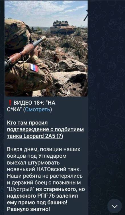 Leopard1.jpg