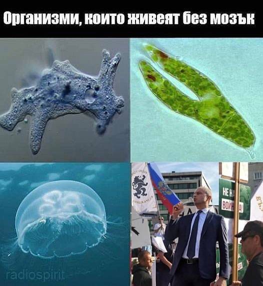 0.jpg.0f37e1b41d87c088d4d92e604dbc4f1e.jpg