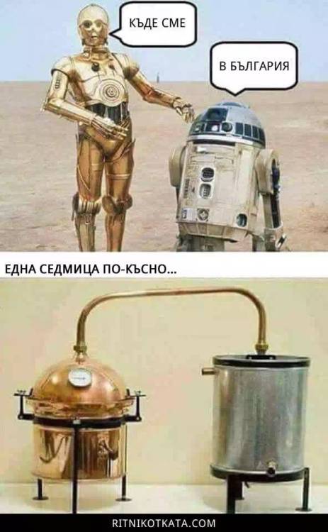 image.thumb.jpeg.7f6fbf0cc5e676570ac24f5256c60fa1.jpeg
