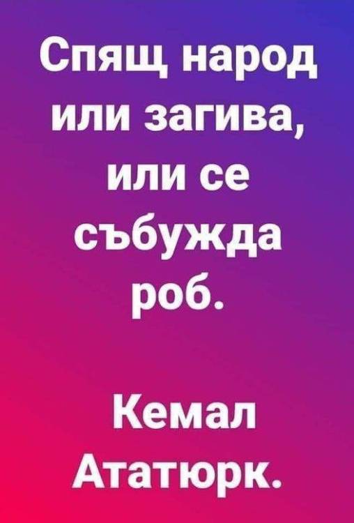 338914017_734583558308418_4049286020665891371_n.jpg