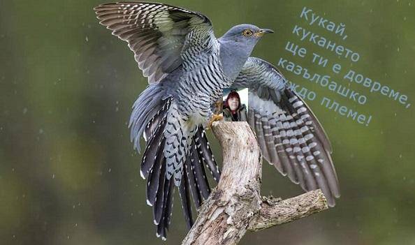 Онон.jpg