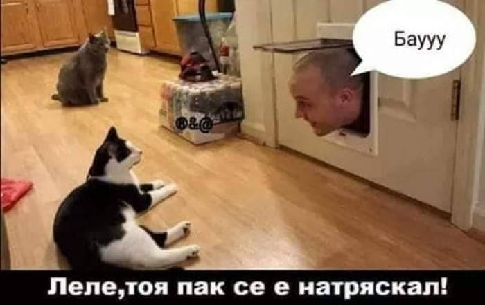 FB_IMG_1693259682218.jpg.fac13c0a172e96b438b666bb3083c9d7.jpg