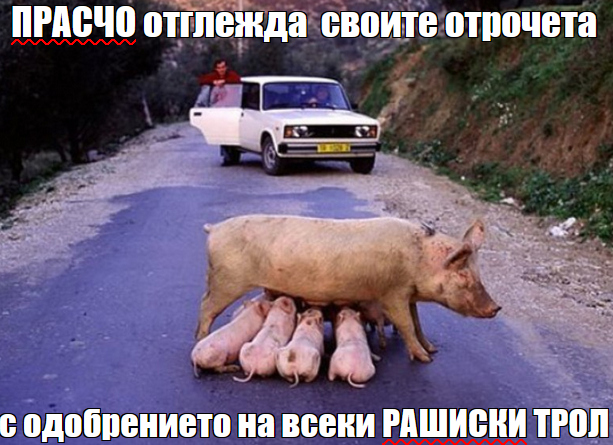 Screenshot2023-08-17075809.png.cb3577e6c0da22443ef4490dd703f909.png