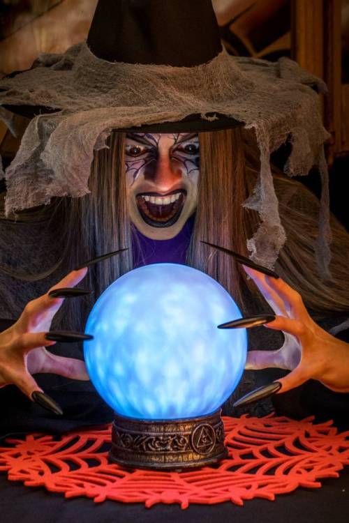 Kuku-crystal-ball-09159.thumb.jpg.1dd490a2047ce55e32de32c35bd2ffec.jpg