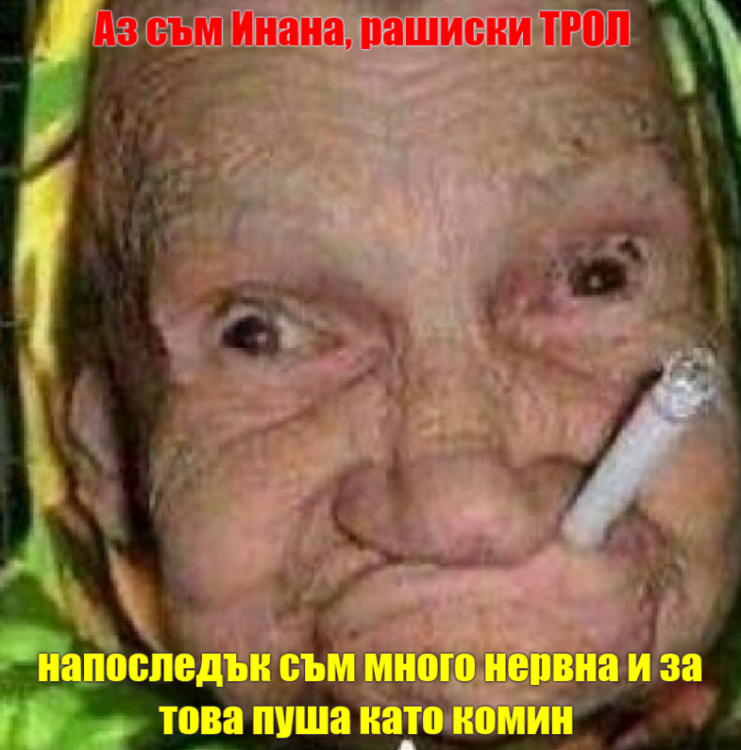 инана.png