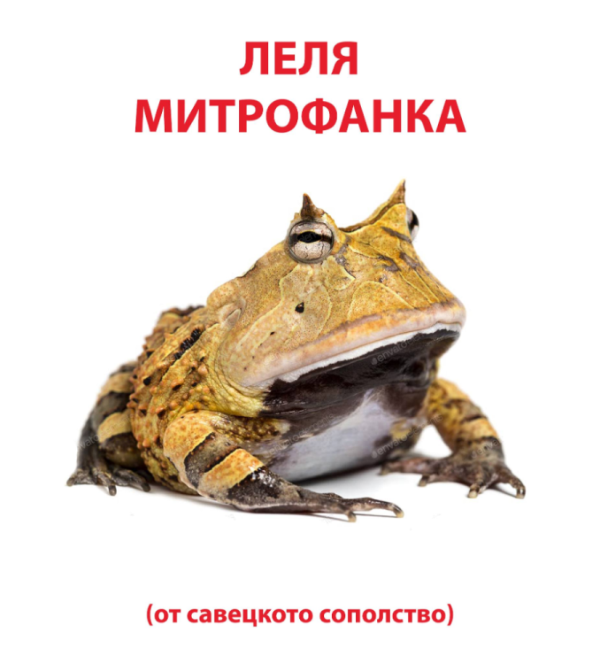 image.thumb.png.bdc2fcde63f766261f9182d409fb54c5.png