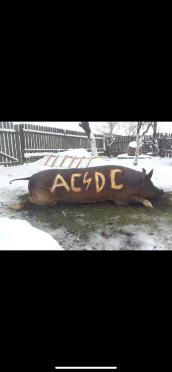 image.thumb.png.bffa7b72161dcb386a1fa1f703d002e2.png