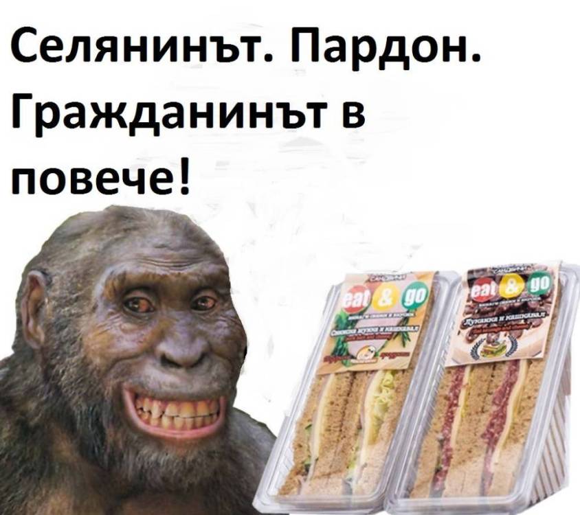 memejpg.jpg.03a499c17b2db24fe6684540783b1f0d.jpg