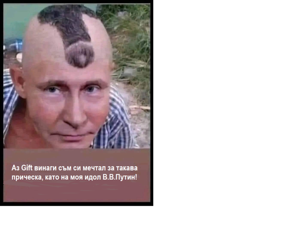 Гифт1.png