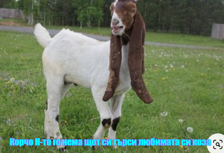2024-06-20083058.png.38a829349e89c75d48c46d9a4536cae7.png