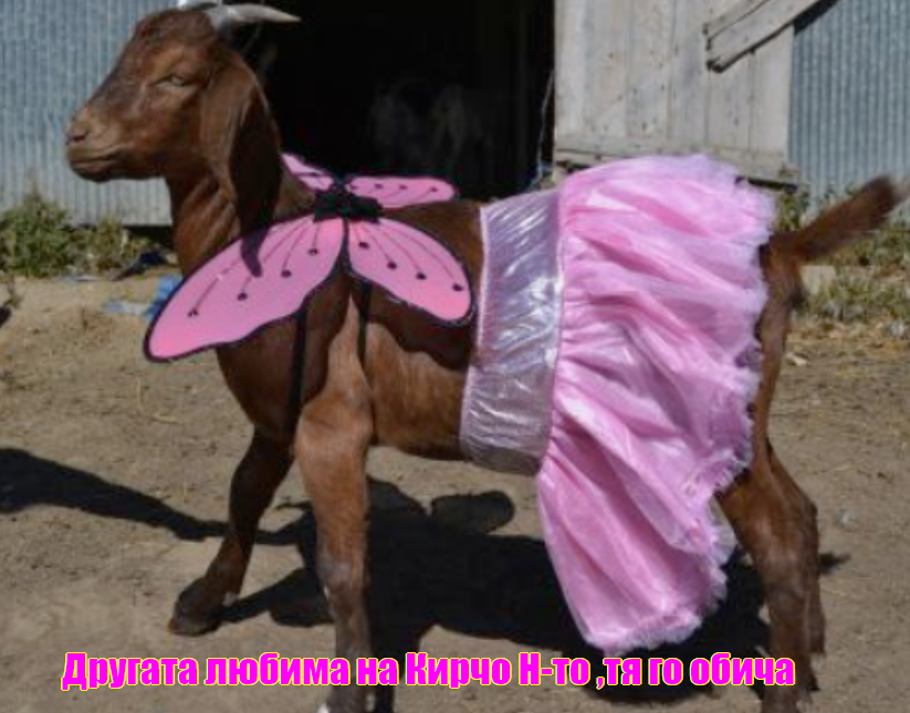 2024-06-20083319.png.3e1c942154c571bf5f270b52091b28f7.png