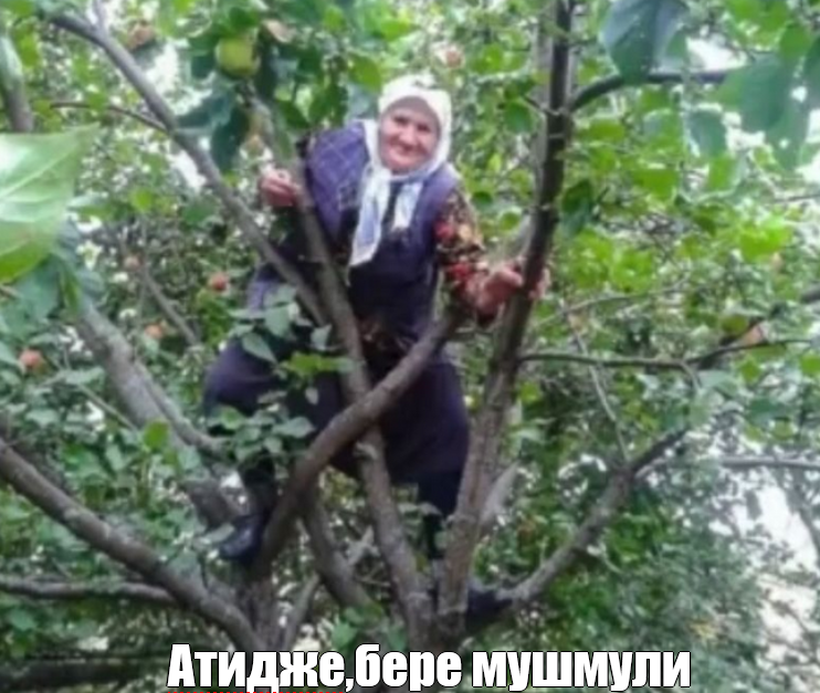 2024-06-23102908.png.31f78dd96d274828631eac7ca102b22b.png