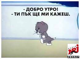391408821_.jpeg.242ea3edbe7314c0c610b42bbd3df701.jpeg