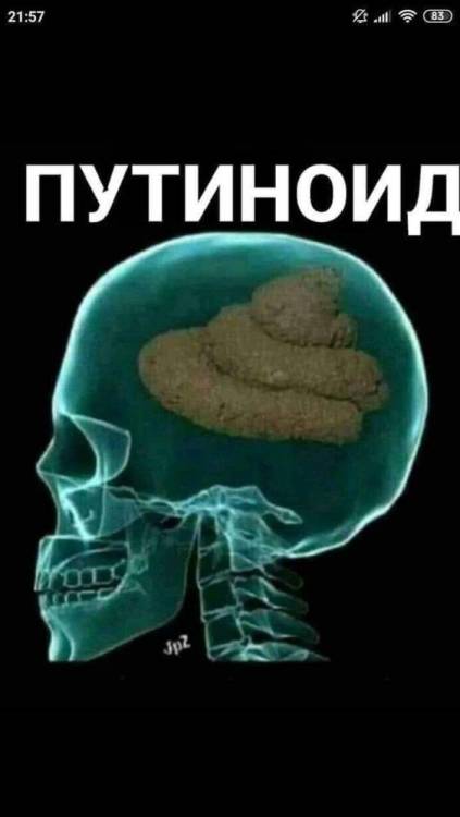 448459647_2456424341212216_7376167779861249957_n.jpg