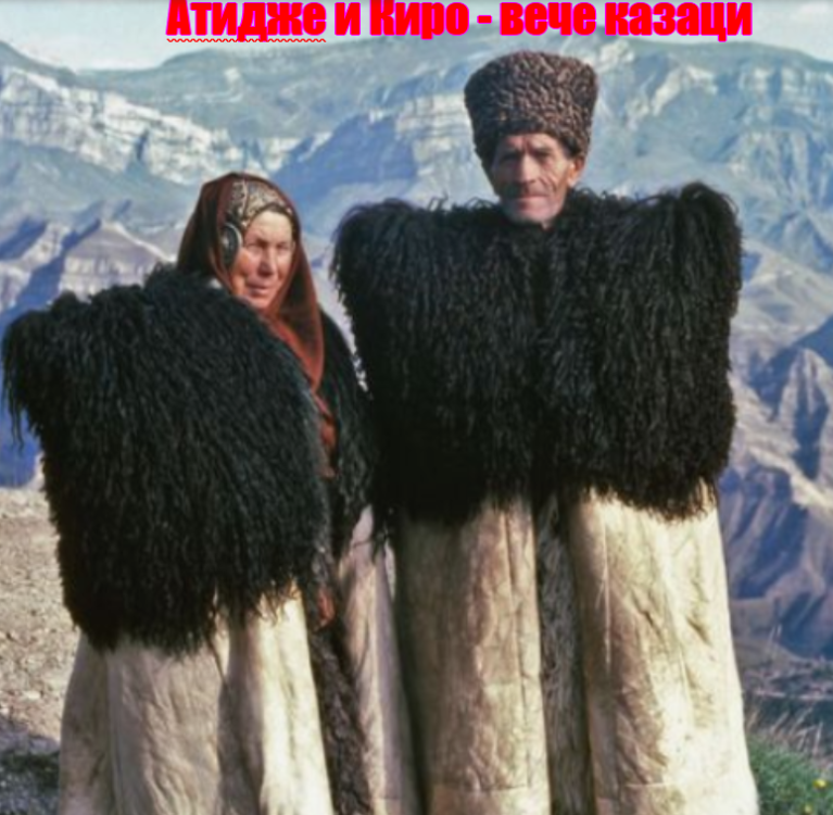 2024-07-27081509.thumb.png.aeac4c8686c11e6e449b97c12cb702a8.png