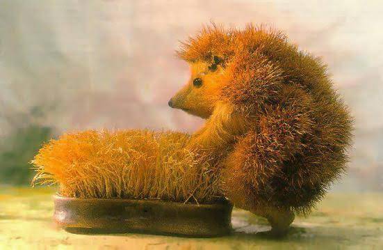 blind_hedgehog.jpg.baa57a9023c10c27c88015e9ac8a3819.jpg