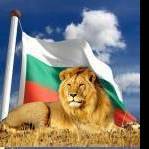 Димитър Христозов