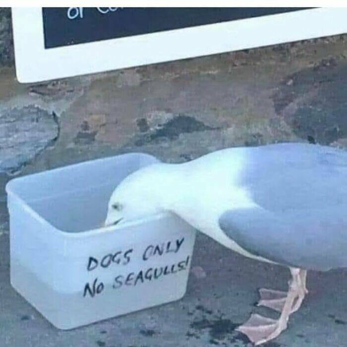 image.jpeg.8e64e6d0fe73534b944ebc5b6c148eef.jpeg