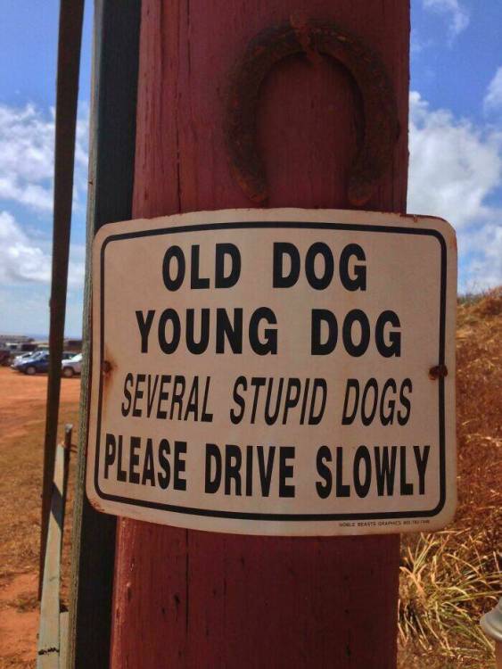 image.thumb.jpeg.57c71bda9ada632608aa741f8b3beb88.jpeg
