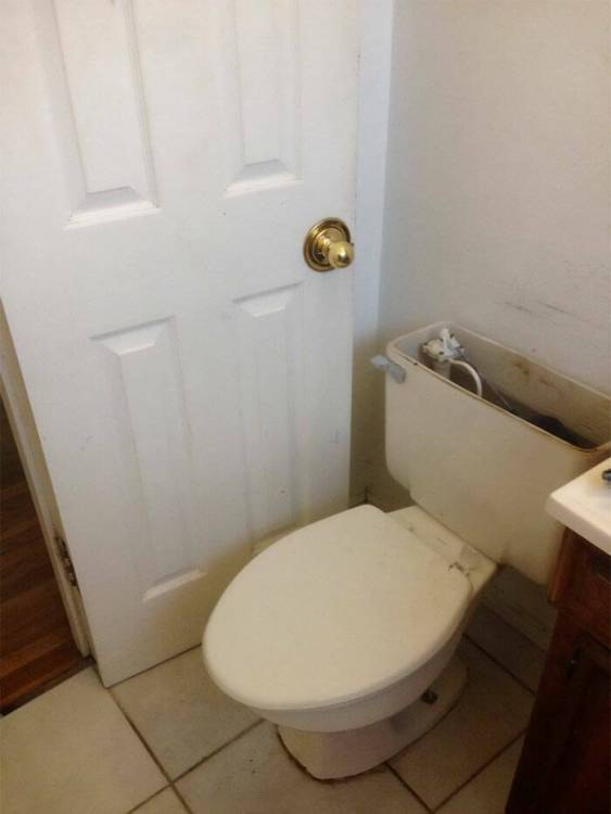 image.thumb.jpeg.607c8d1f9891129b42bc11fd1fbe396a.jpeg