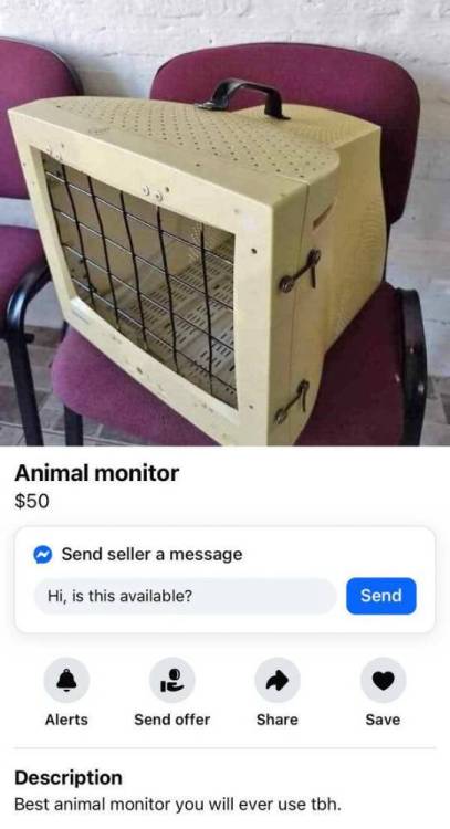 image.thumb.jpeg.ad07828e3e77fa97622e013867c80edd.jpeg