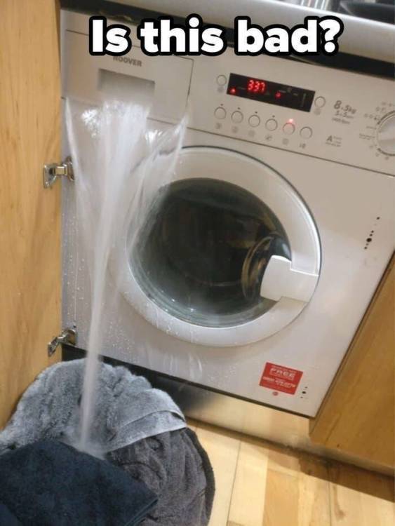 image.thumb.jpeg.c741fc7ca3a116ede5a95d18e4763cd8.jpeg
