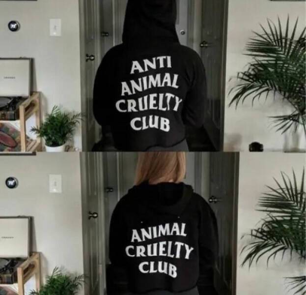 image.jpeg.1eaad88e2459bacc49638849ebdfaf5b.jpeg