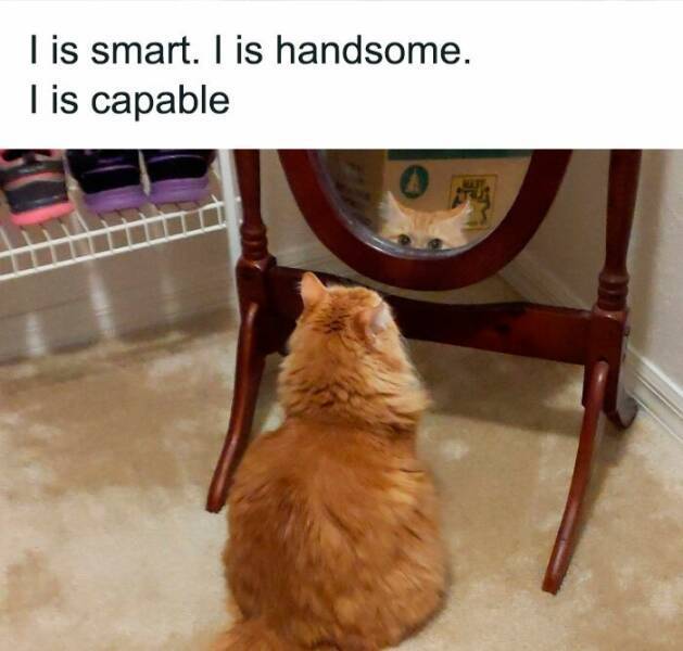 image.jpeg.1ed9565577ed92fe42dee55485a6467f.jpeg