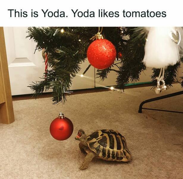 image.jpeg.2f4a4433770ab251d0f569f99537e75a.jpeg