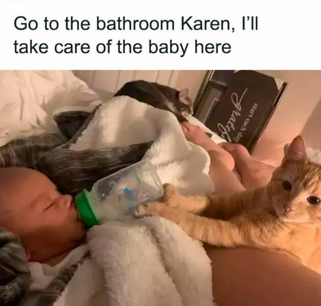 image.jpeg.3ba2a4e49c8e4e397da7d8b507692ff1.jpeg