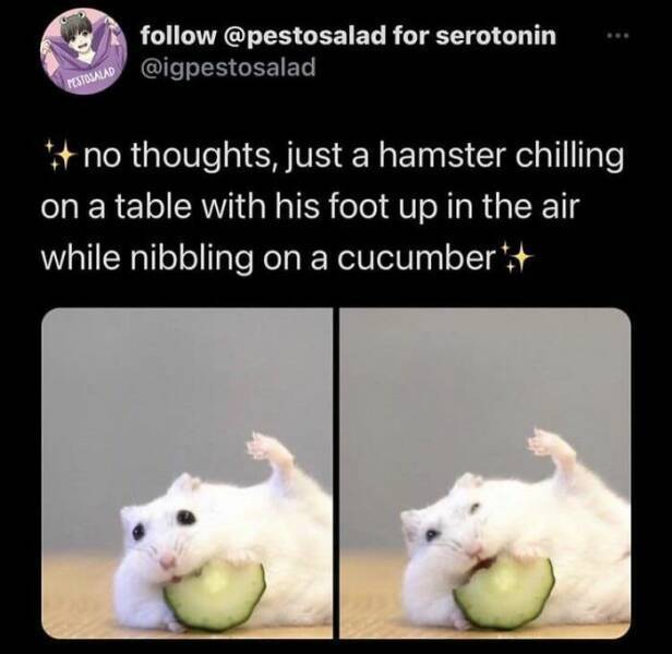 image.jpeg.431b985ba94b9becdaeef1d565b15733.jpeg