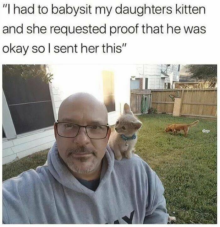 image.jpeg.6f5c2fd0f46fcaf43f8fb56d65e8d0bb.jpeg