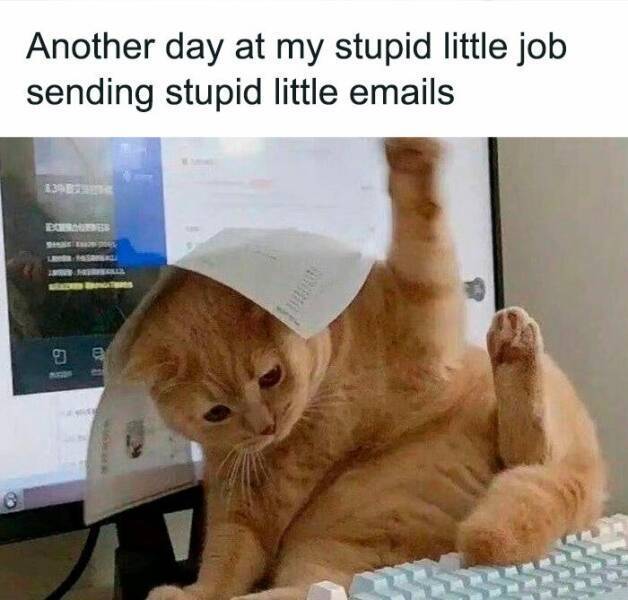 image.jpeg.7f5ef02bdc4a7a507e7aa47d2019f560.jpeg