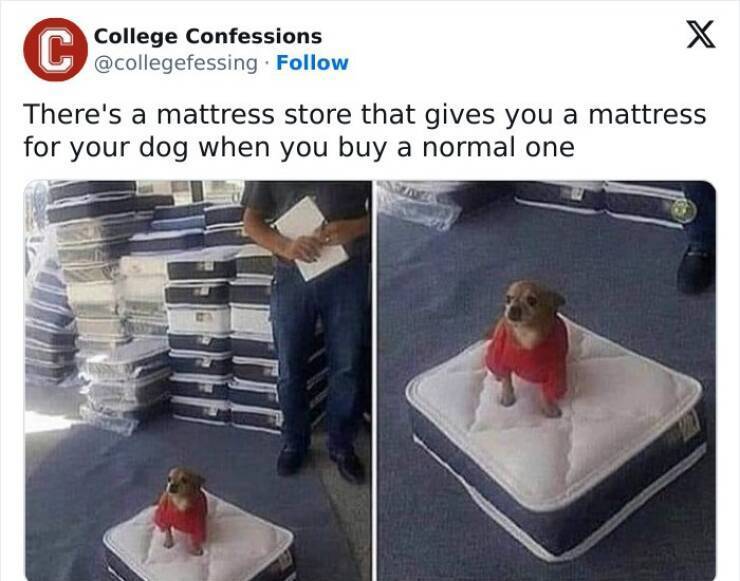 image.jpeg.8336ed2203f4f5f5833de6eb5faf0e59.jpeg
