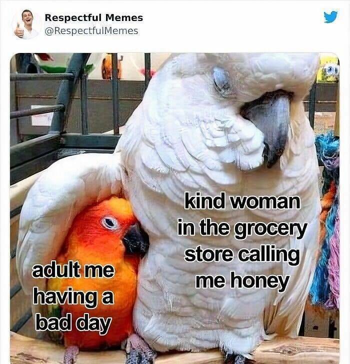 image.jpeg.9cb535a9b8ec98f4b171e522fd996815.jpeg