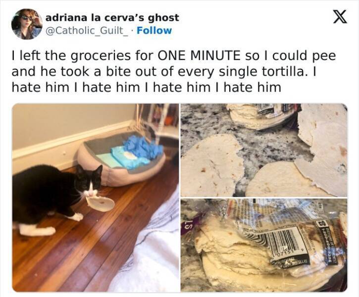 image.jpeg.bf55fe624bf64617653eec29acb665af.jpeg