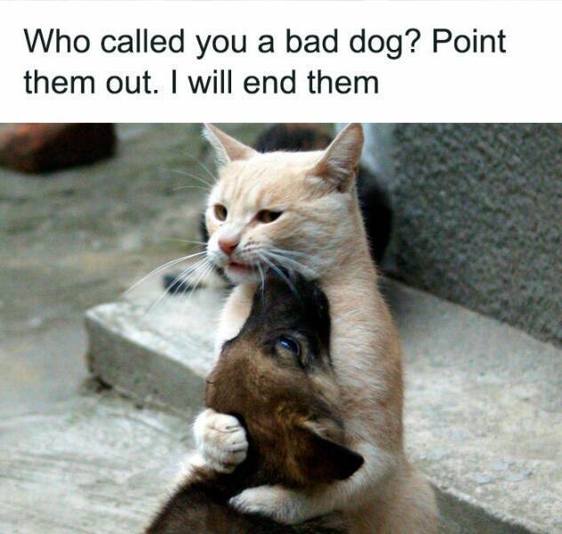 image.jpeg.d76a1c9805d3d8ba0c5bb54f296d00f2.jpeg