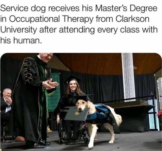 image.jpeg.ee2a83178652e30ed843a8df29704006.jpeg