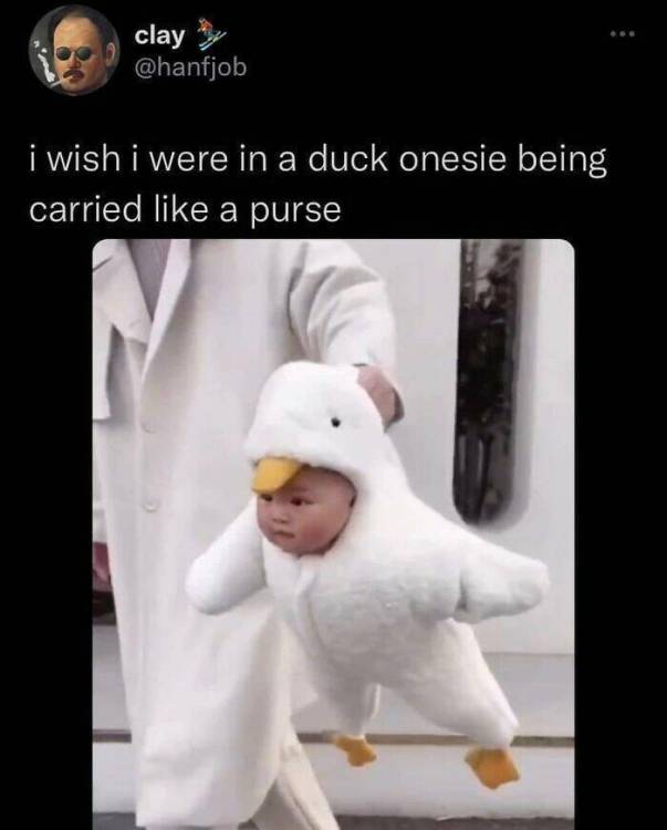 image.thumb.jpeg.1c97955dc5375501bee690e89539c7c5.jpeg